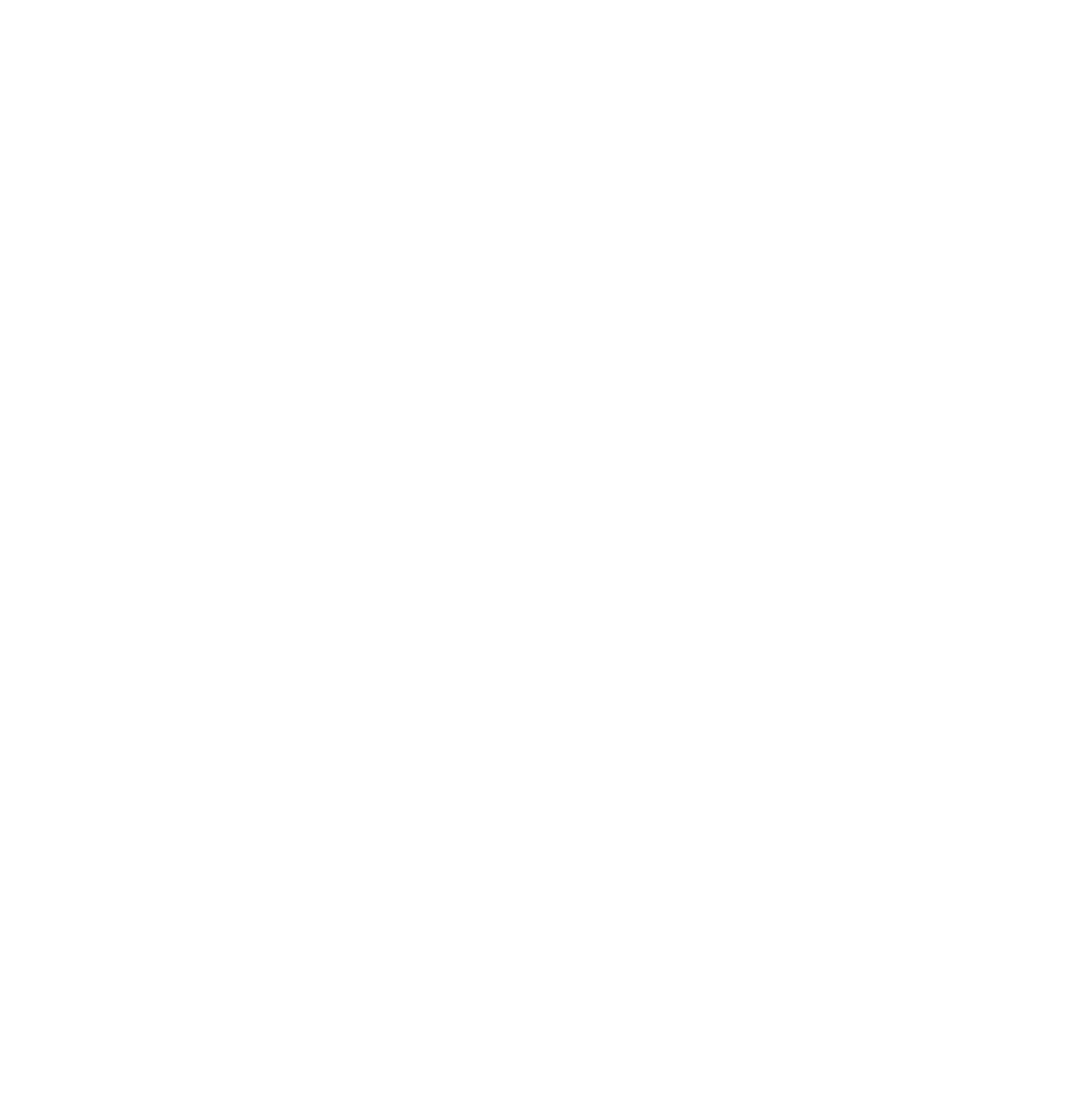 Logo Instituto Bruno Marques